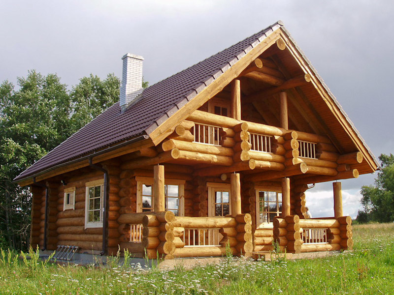 palkmaja mere taustal